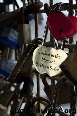 Locked in the Moment by Dawn Sister