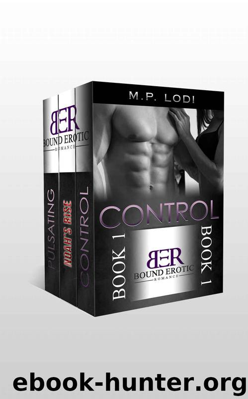 Lodi, M P - [Billionaire Romance 01-03] - Control; Pulsating Holiday; Noah's Rise by M.P. Lodi