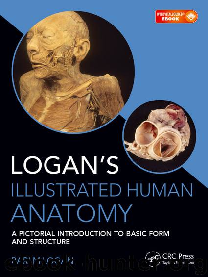 Logan's Illustrated Human Anatomy by Logan Bari M