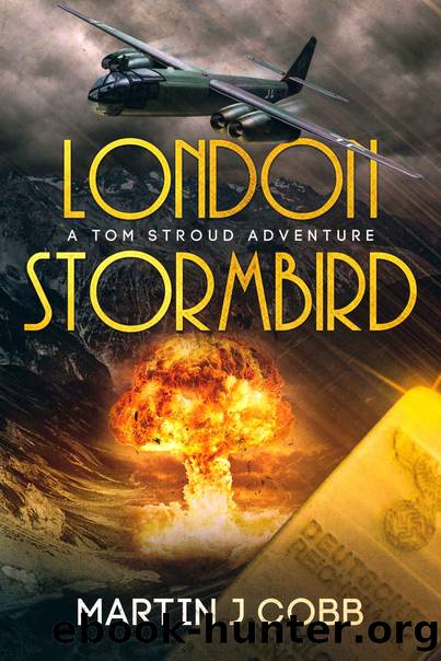 London Stormbird (A Tom Stroud Adventure Book 2) by Martin J Cobb