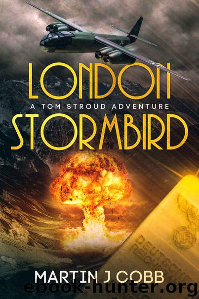 London Stormbird by Martin J Cobb