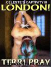 London by Terri Pray