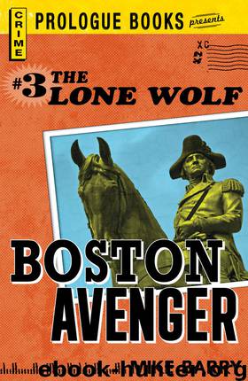 Lone Wolf #3: Boston Avenger by Barry Mike