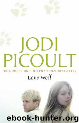 Lone Wolf by Jodi Picoult