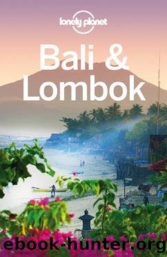 Lonely Planet Bali & Lombok (Travel Guide) by Lonely Planet & Ryan Ver Berkmoes & Adam Skolnick