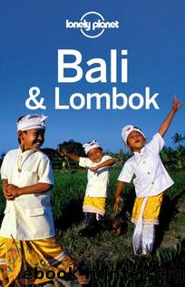Lonely Planet Bali & Lombok (Travel Guide) by Planet Lonely & Ryan Ver Berkmoes & Iain Stewart