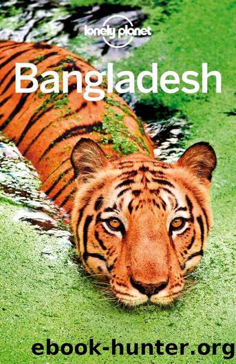Lonely Planet Bangladesh (Travel Guide) by Lonely Planet & Lonely Planet & Paul Clammer & Anirban Mahapatra
