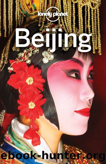 Lonely Planet Beijing (Travel Guide) by Lonely Planet & Daniel McCrohan & David Eimer