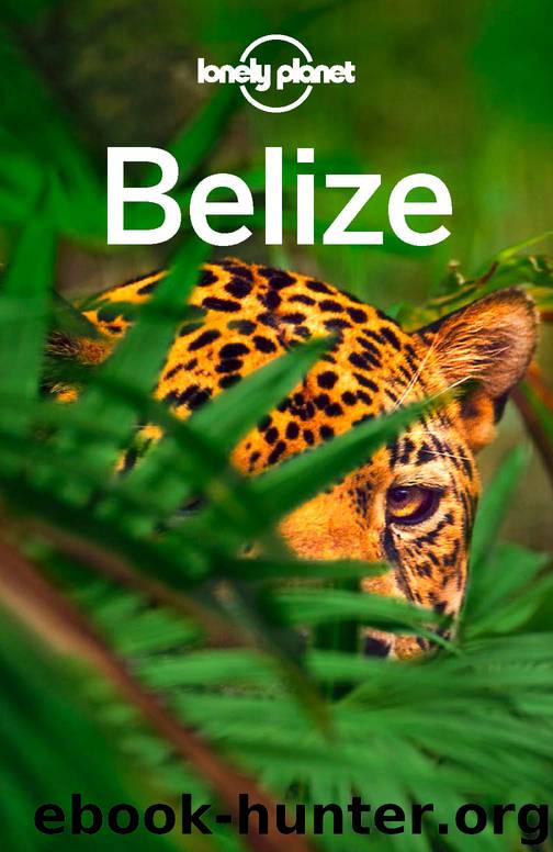 Lonely Planet Belize by Lonely Planet