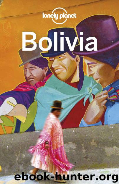 Lonely Planet Bolivia (Travel Guide) by Planet Lonely & Albiston Isabel & Grosberg Michael & Johanson Mark
