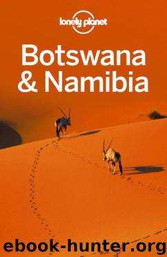Lonely Planet Botswana & Namibia (Travel Guide) by Planet Lonely & Alan Murphy & Anthony Ham & Trent Holden & Kate Morgan