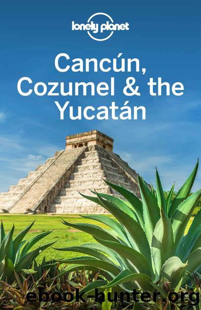 Lonely Planet Cancun, Cozumel & the Yucatan (Travel Guide) by Lonely Planet & Ray Bartlett & John Hecht & Ashley Harrell & Stuart Butler