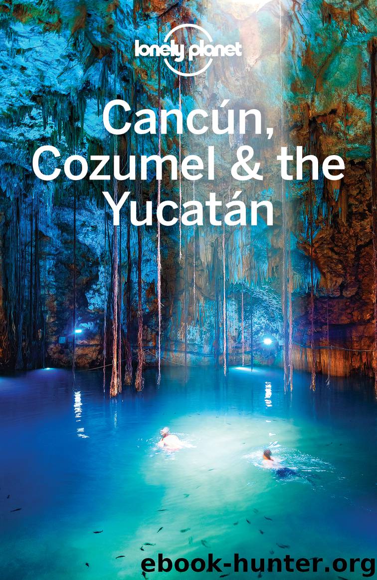Lonely Planet Cancun, Cozumel & the Yucatan by Lonely Planet