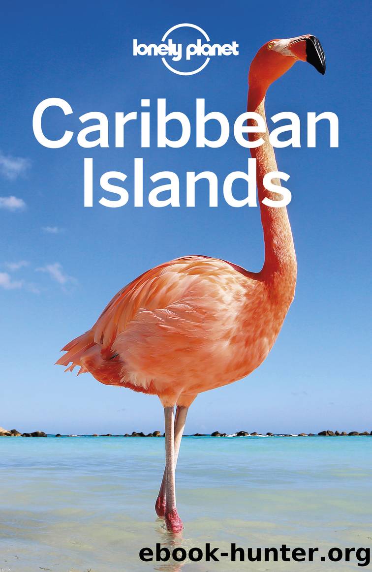 Lonely Planet Caribbean Islands 8 by Unknown