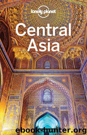 Lonely Planet Central Asia (Travel Guide) by Lonely Planet & Stephen Lioy & Anna Kaminski & Bradley Mayhew & Jenny Walker