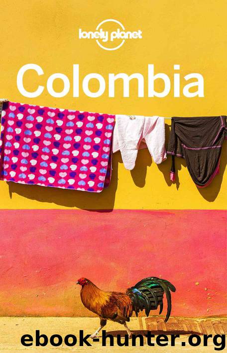 Lonely Planet Colombia (Travel Guide) by Lonely Planet & Alex Egerton & Tom Masters & Kevin Raub