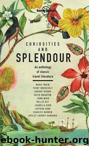 Lonely Planet Curiosities and Splendour by Lonely Planet