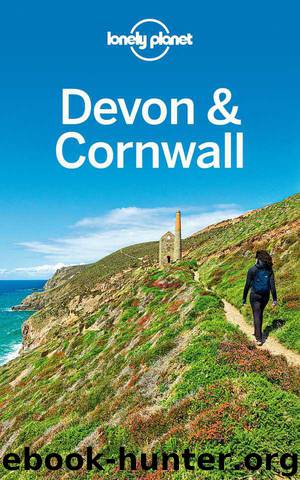 Lonely Planet Devon & Cornwall (Travel Guide) by Planet Lonely & Berry Oliver & Dixon Belinda