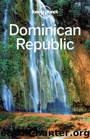 Lonely Planet Dominican Republic (Travel Guide) by Planet Lonely & Grosberg Michael & Raub Kevin