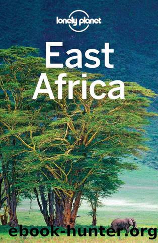 Lonely Planet East Africa (Travel Guide) by Lonely Planet & Anthony Ham & Stuart Butler & Mary Fitzpatrick & Trent Holden