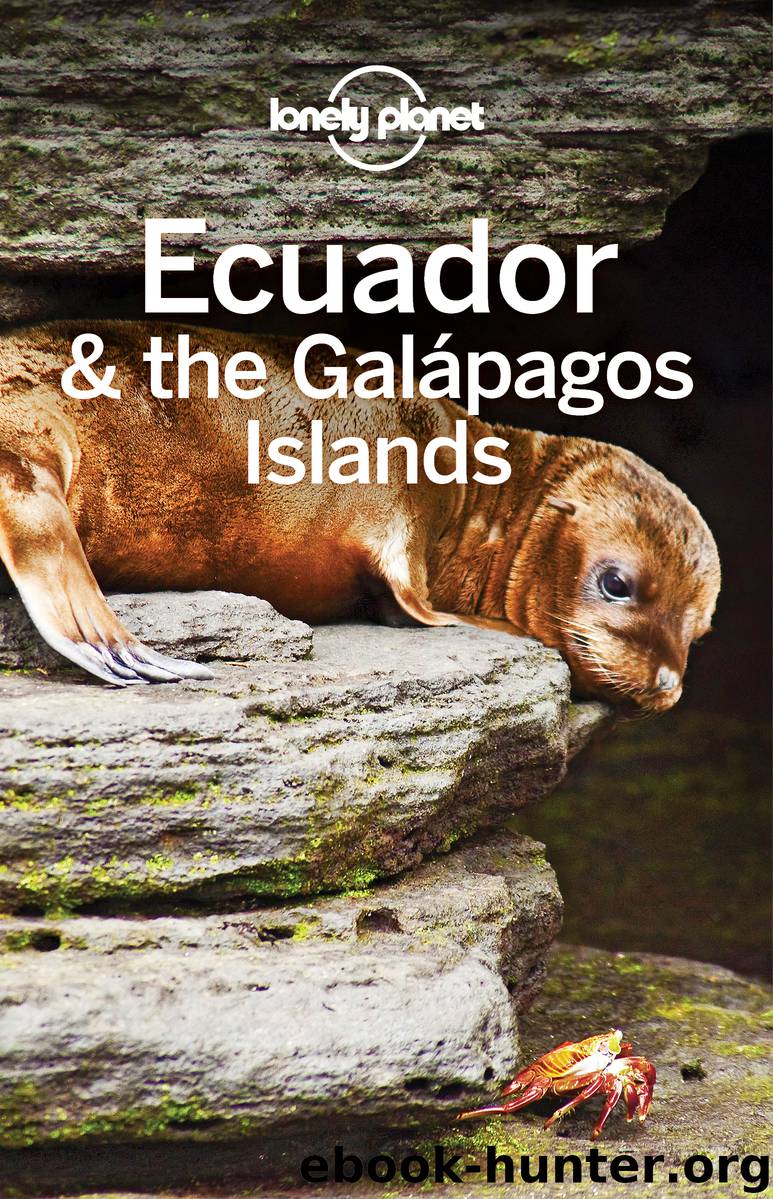Lonely Planet Ecuador & the Galápagos Islands by Lonely Planet