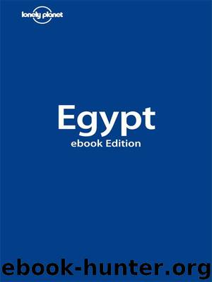 Lonely Planet Egypt (Country Guide) by Firestone Matthew & Benanav Michael & Hall Tom & Sattin Anthony