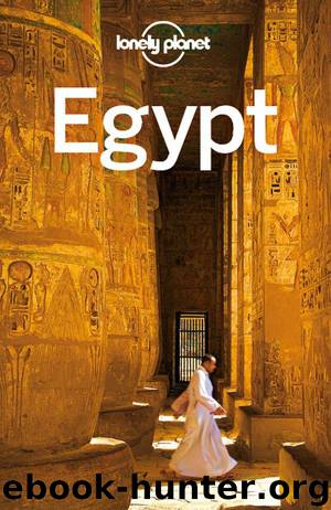 Lonely Planet Egypt (Travel Guide) by Lonely Planet