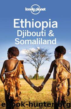Lonely Planet Ethiopia, Djibouti & Somaliland (Travel Guide) by Planet Lonely & Jean-Bernard Carillet & Tim Bewer & Stuart Butler