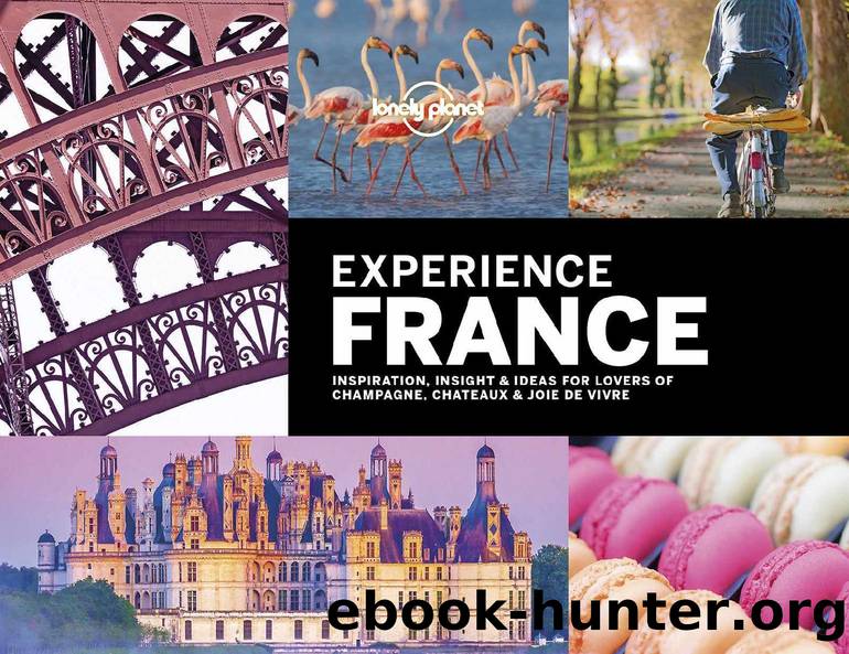 Lonely Planet Experience France (Travel Guide) by unknow