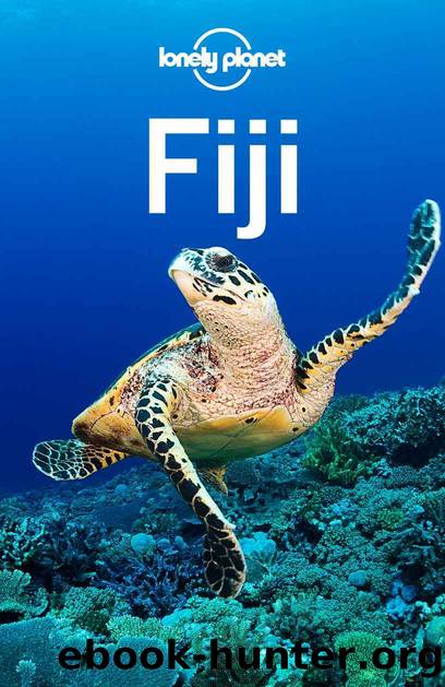 Lonely Planet Fiji (Travel Guide) by Lonely Planet & Lonely Planet & Paul Clammer & Tamara Sheward