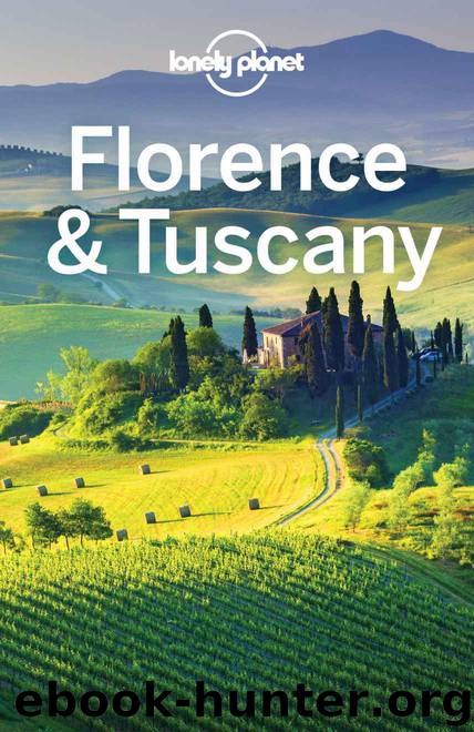 Lonely Planet Florence & Tuscany (Travel Guide) by Lonely Planet & Nicola Williams & Virginia Maxwell