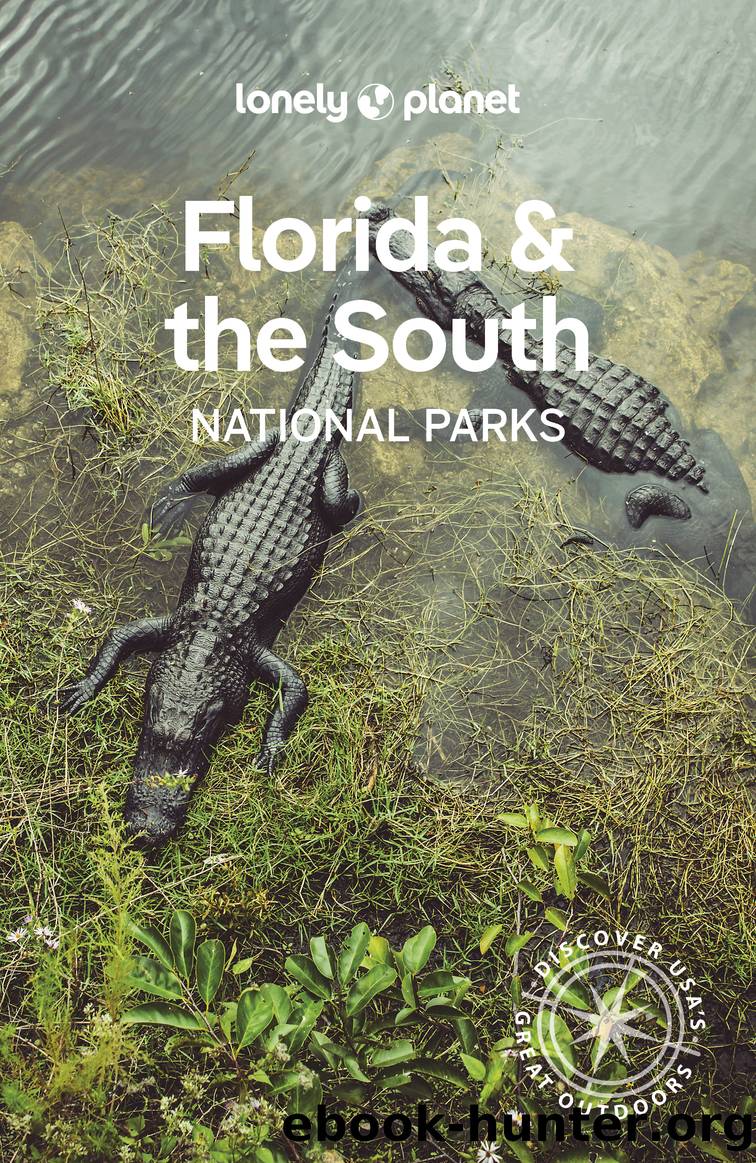 Lonely Planet Florida & the Southâs National Parks by Lonely Planet