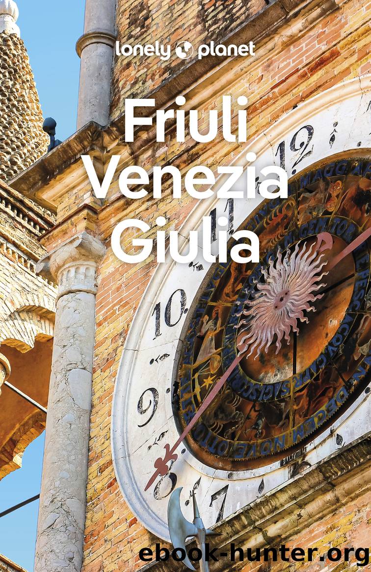 Lonely Planet Friuli Venezia Giulia by Lonely Planet
