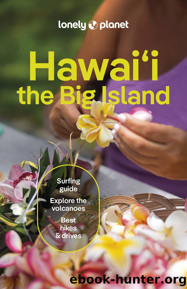 Lonely Planet Hawaiâi the Big Island by Lonely Planet