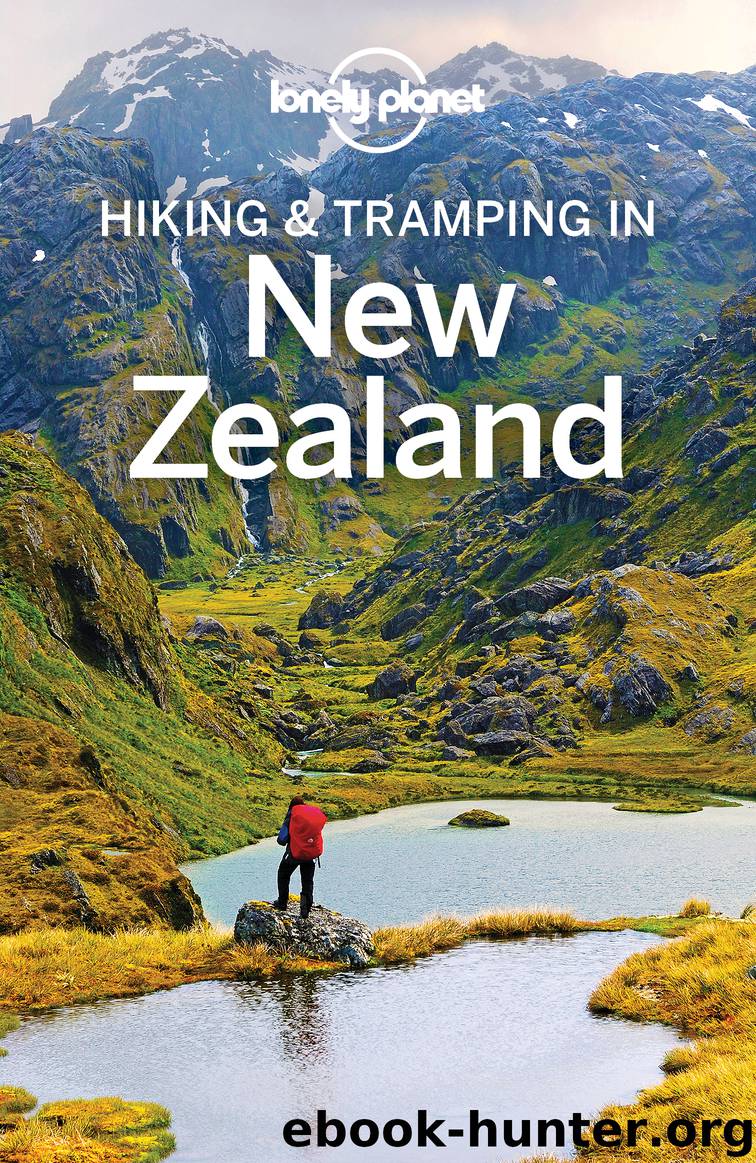 Lonely Planet Hiking & Tramping in New Zealand by Lonely Planet