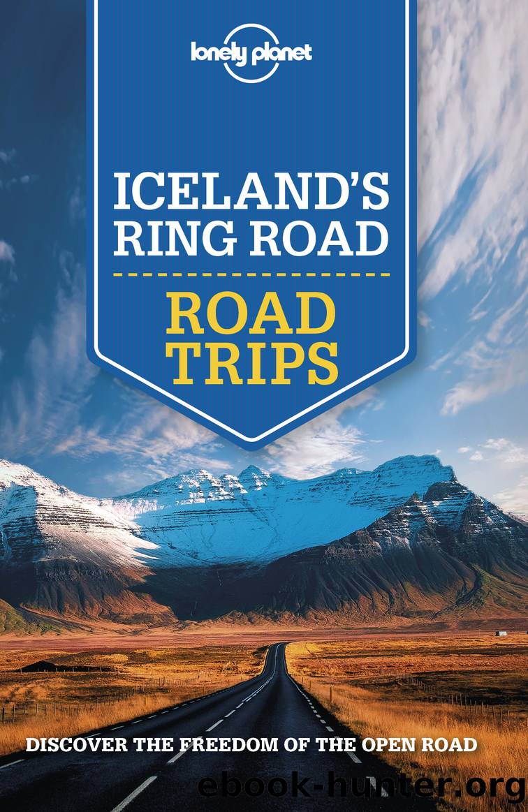 Lonely Planet Icelandâs Ring Road Trips by Lonely Planet