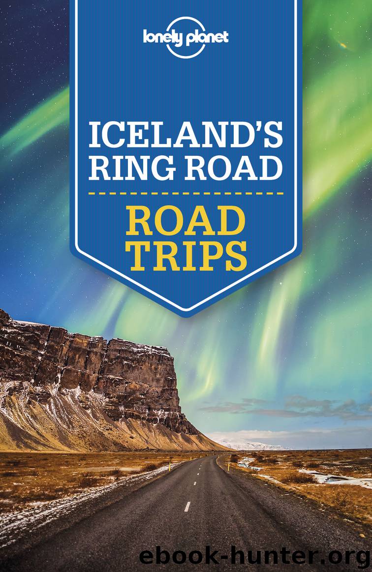 Lonely Planet Icelands Ring Road Trips 2 by Lonely Planet