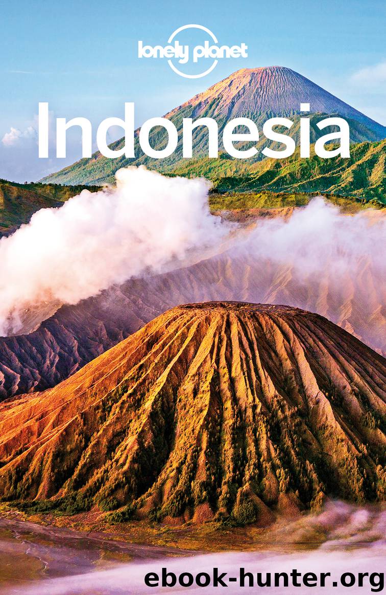 Lonely Planet Indonesia by Lonely Planet