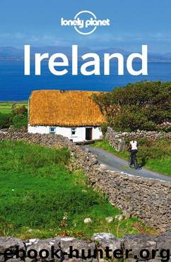 Lonely Planet Ireland (Travel Guide) by Planet Lonely & Davenport Fionn & Le Nevez Catherine & Quintero Josephine & Ver Berkmoes Ryan & Wilson Neil