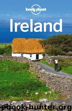 Lonely Planet Ireland (Travel Guide) by Planet Lonely & Davenport Fionn & Le Nevez Catherine & Quintero Josephine & Ver Berkmoes Ryan & Wilson Neil