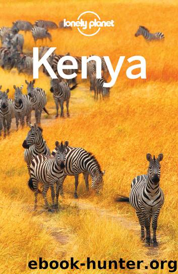 Lonely Planet Kenya (Travel Guide) by Lonely Planet & Anthony Ham & Anna Kaminski & Shawn Duthie