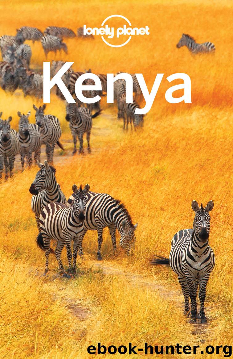 Lonely Planet Kenya by Lonely Planet