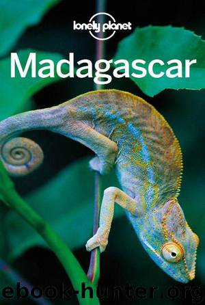Lonely Planet Madagascar (Travel Guide) by Planet Lonely & Emilie Filou & Paul Stiles