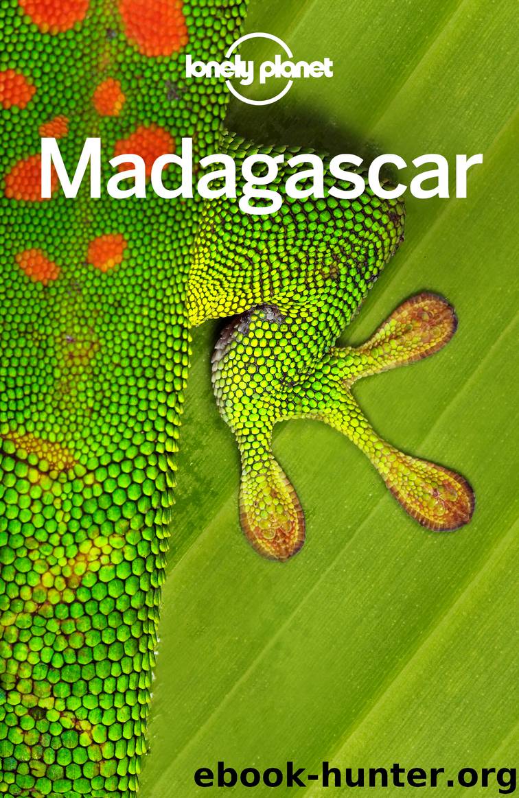 Lonely Planet Madagascar by Lonely Planet