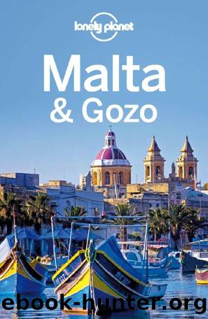 Lonely Planet Malta & Gozo (Travel Guide) by Lonely Planet