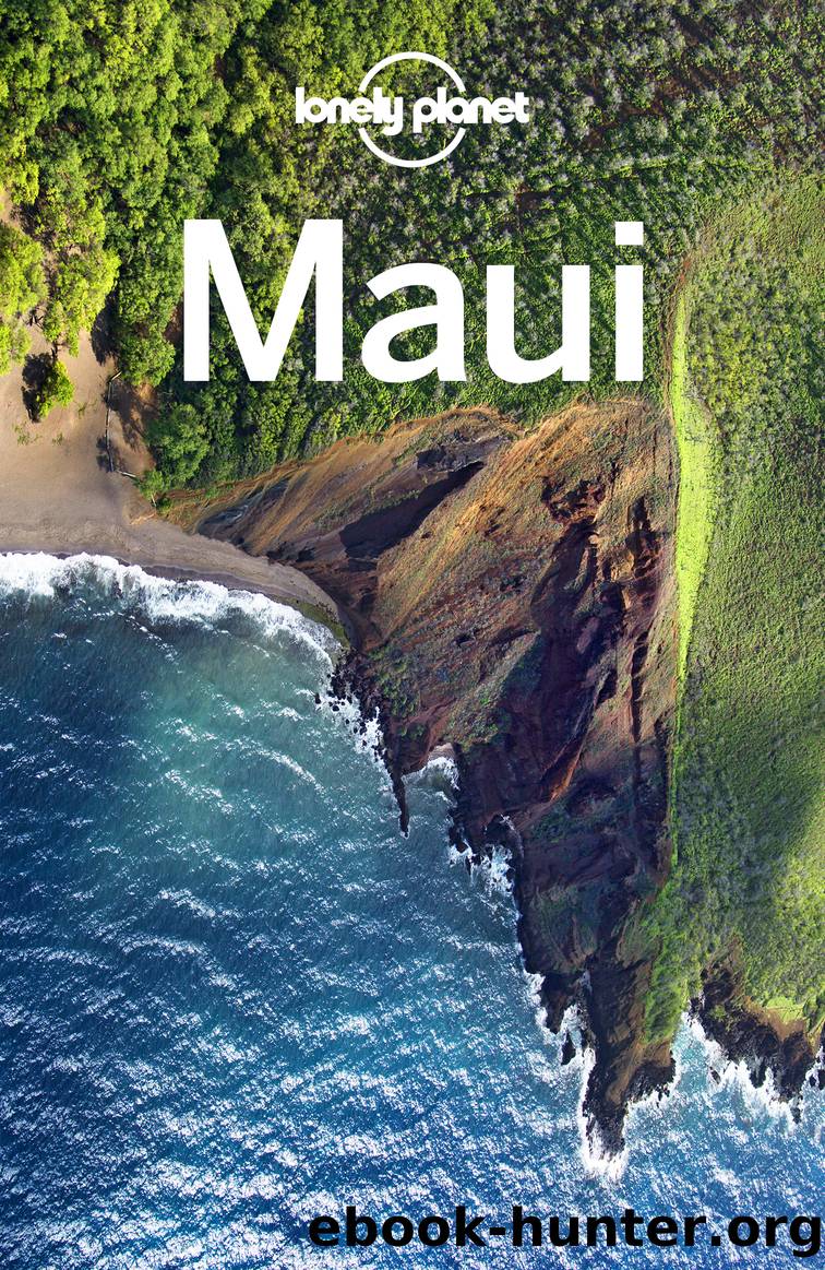 Lonely Planet Maui by Unknown