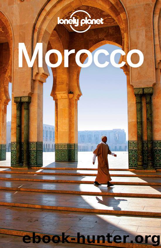 Lonely Planet Morocco (Travel Guide) by Paul Clammer