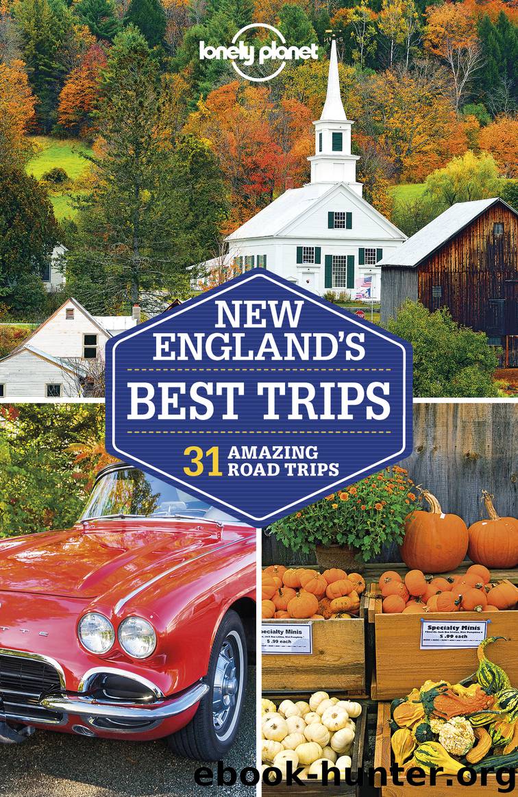 Lonely Planet New England’s Best Trips by Lonely Planet