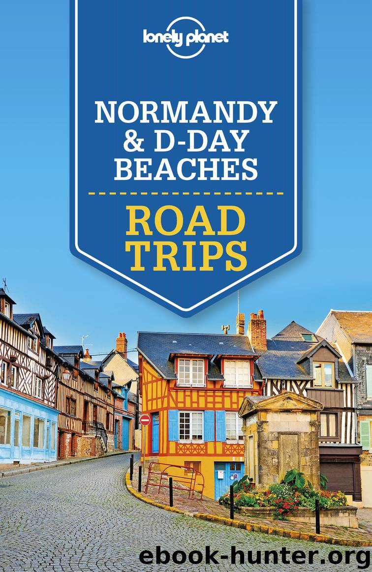 Lonely Planet Normandy & D-Day Beaches Road Trips by Lonely Planet