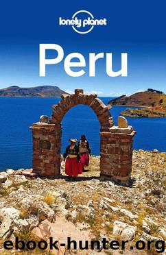 Lonely Planet Peru (Travel Guide) by Lonely Planet & Carolyn McCarthy & Carolina A Miranda & Kevin Raub & Brendan Sainsbury & Luke Waterson